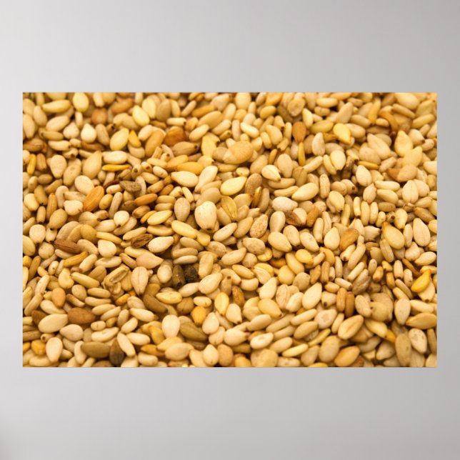 Sesame Seeds Poster (Front)