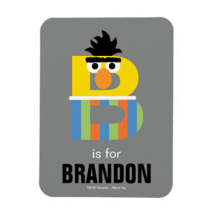 Sesame Street   B is for Bert Magnet