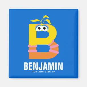 Sesame Street B is for Big Bird Magnet