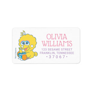 Sesame Street Baby Birthday - Big Bird Label