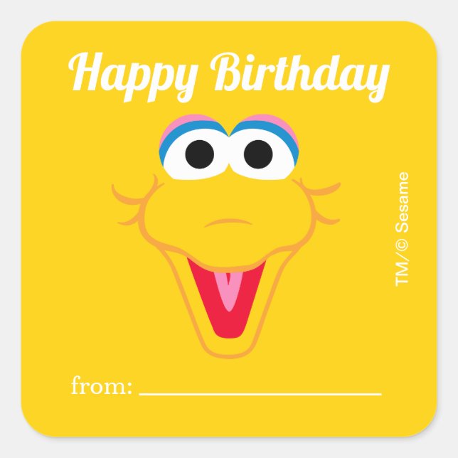 Sesame Street Big Bird | A Gift From - Birthday  Square Sticker (Front)