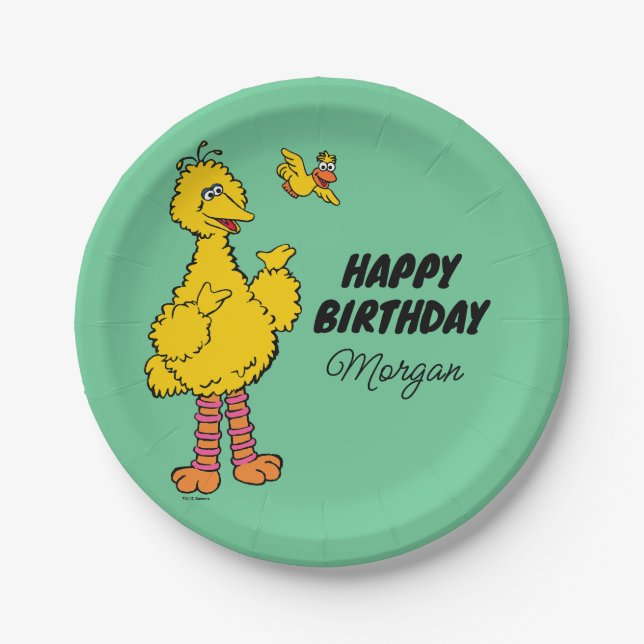 Sesame Street | Big Bird & Little Bird Birthday Paper Plate (Front)