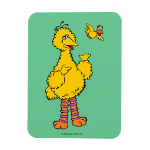 Sesame Street Big Bird & Little Bird Magnet