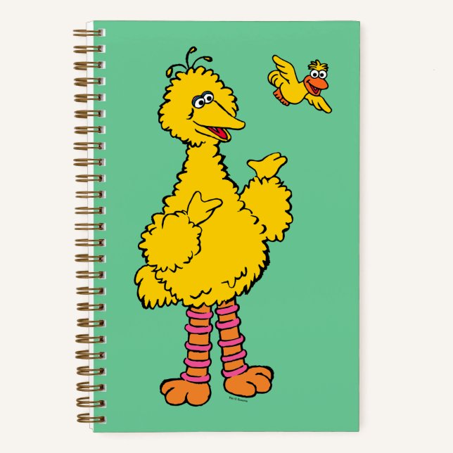Sesame Street | Big Bird & Little Bird Notebook (Front)