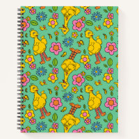 Sesame Street | Big Bird & Little Bird Pattern