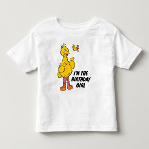 Sesame Street   Big Bird & Little Bird Toddler T-Shirt