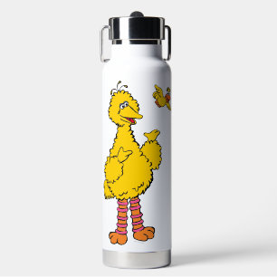 Sesame Street Big Bird & Little Bird Water Bottle