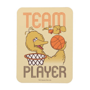 Sesame Street Bird Bird Team Player Magnet