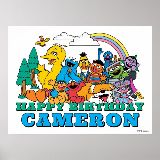 Sesame Street Characters Birthday Poster (Front)
