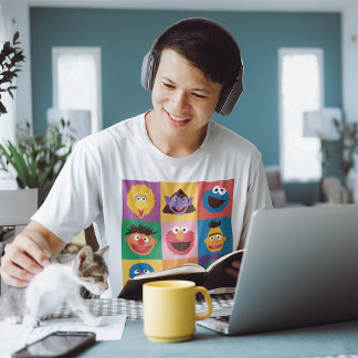 Sesame Street Characters | Colorblock Grid T-Shirt