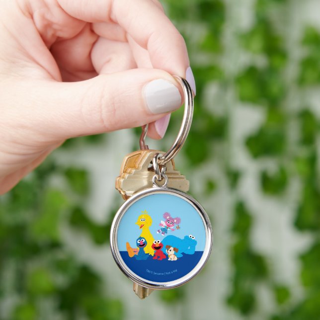 Sesame Street | Colourful Sesame Street Pals Key Ring (Hand)
