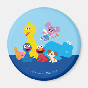 Sesame Street Colourful Sesame Street Pals Magnet