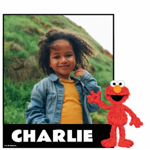 Sesame Street Cookie Monster Standing Photo Sculpture