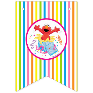 Sesame Street   Elmo Girl's Birthday Bunting