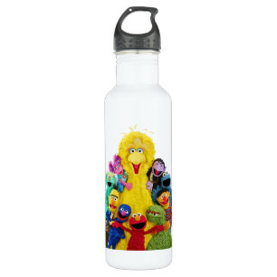 Sesame Street Fun Colourful Pals Portrait 710 Ml Water Bottle