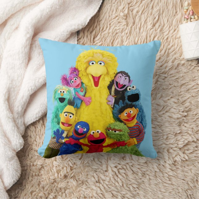 Sesame Street | Fun Colourful Pals Portrait Cushion (Blanket)