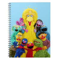 Sesame Street | Fun Colourful Pals Portrait