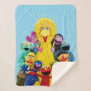 Sesame Street Fun Colourful Pals Portrait Sherpa Blanket