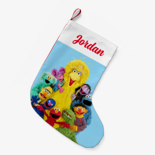 Sesame Street   Fun Colourful Pals Portrait Small Christmas Stocking