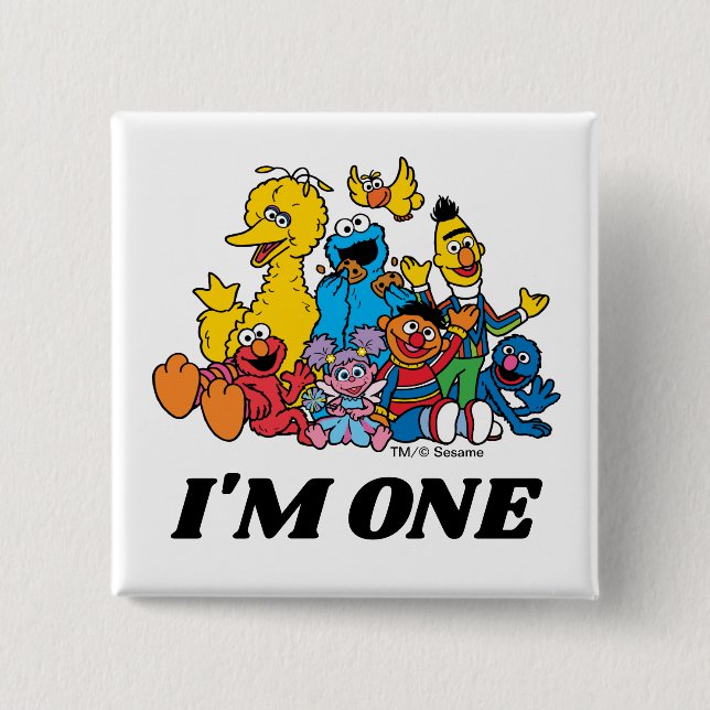 Sesame Street Pals 1st Birthday  15 Cm Square Badge (Front)