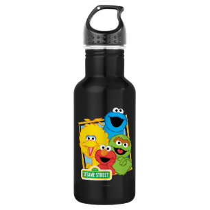 Sesame Street Pals 532 Ml Water Bottle