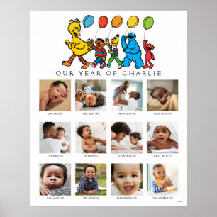 Sesame Street Pals Baby's First Year Poster