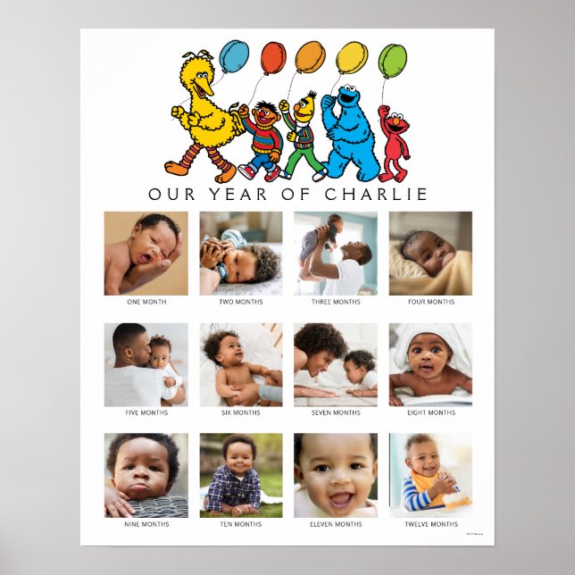 Sesame Street Pals | Baby's First Year Poster (Front)