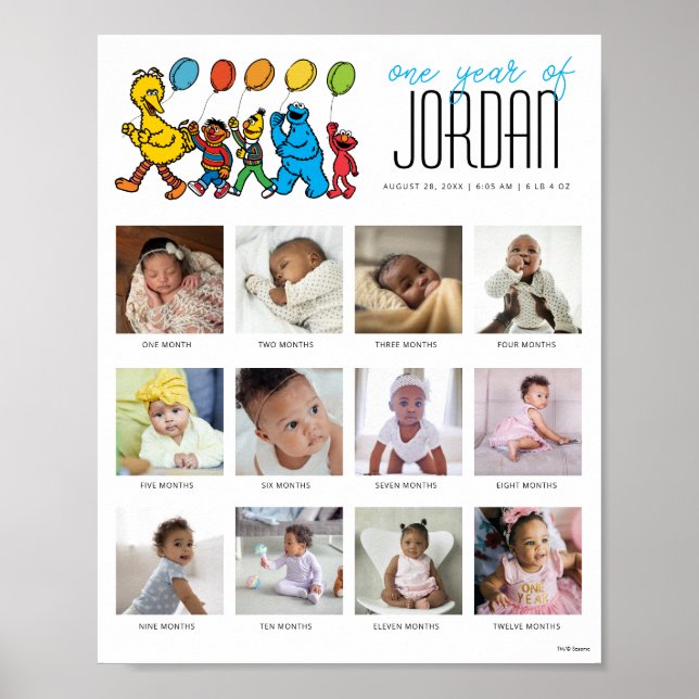 Sesame Street Pals Balloons One Year of 12 Months Poster (Front)