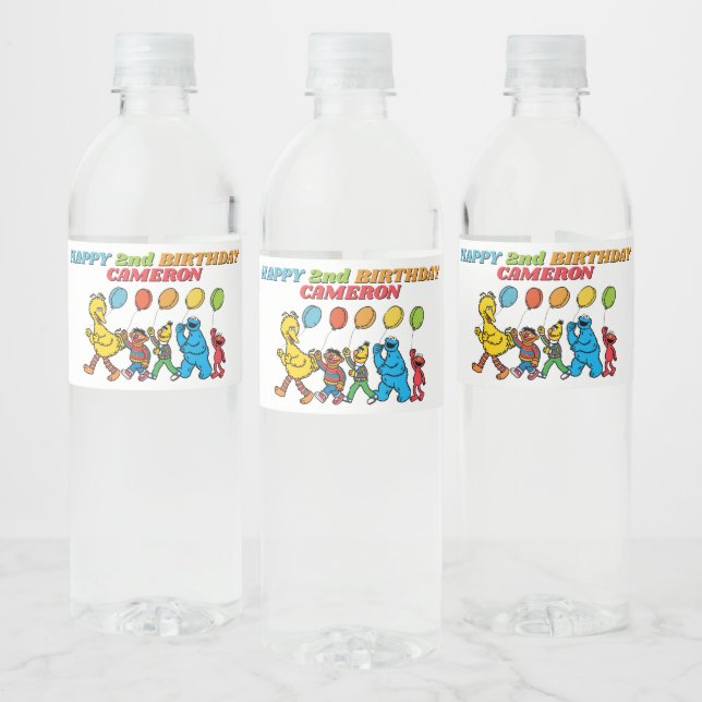 Sesame Street Pals | Birthday Balloons Water Bottle Label (Bottles)