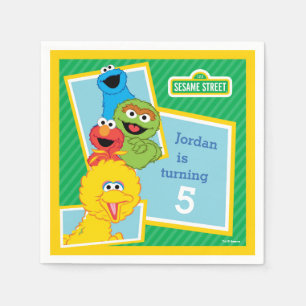 Sesame Street Pals Birthday Napkin