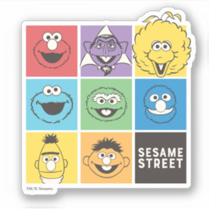 Sesame Street Pals Colour Blocks
