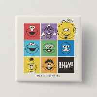 Sesame Street Pals | Colour Blocks