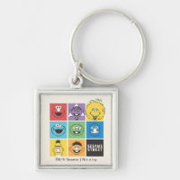 Sesame Street Pals | Colour Blocks