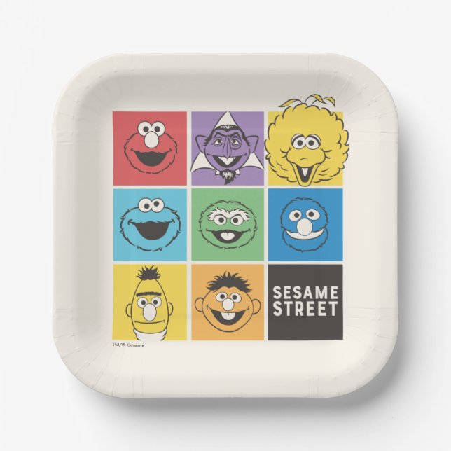 Sesame Street Pals | Colour Blocks Paper Plate (Front)