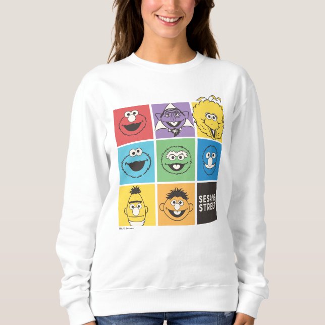Sesame Street Pals | Colour Blocks Sweatshirt (Front)