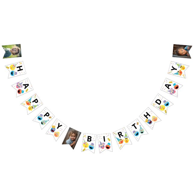 Sesame Street Pals Confetti Birthday Bunting (All)