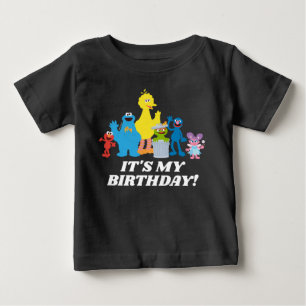 Sesame Street Pals It's My Birthday Baby T-Shirt