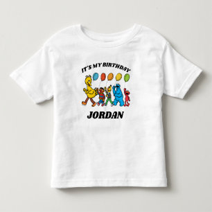Sesame Street Pals   It's My Birthday Toddler T-Shirt