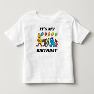 Sesame Street Pals   It's My Birthday Toddler T-Shirt
