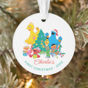 Sesame Street Pals My First Christmas Photo Ornament