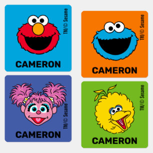 Sesame Street Personalised Kids