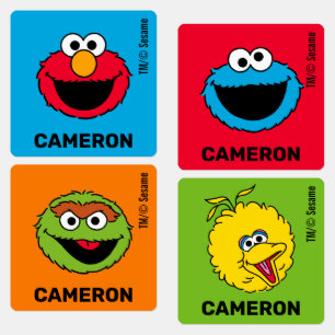 Sesame Street Personalised Kids Labels