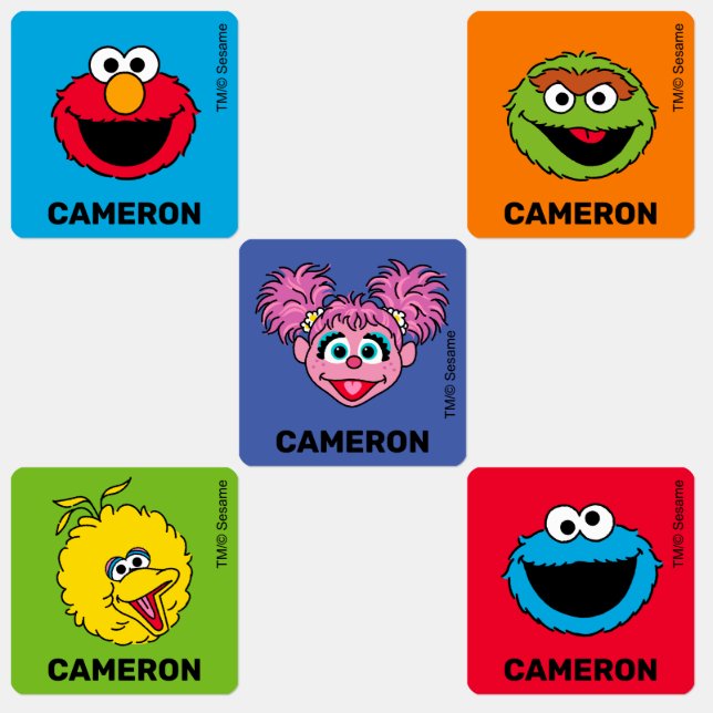 Sesame Street Personalised Kids Labels (Group)