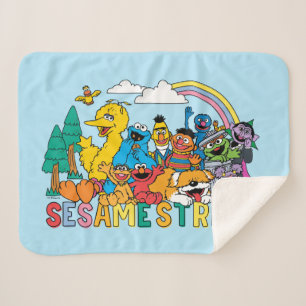 Sesame Street   Rainbow Wave Sherpa Blanket