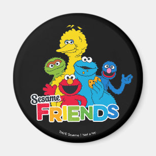 Sesame Street Sesame Friends Magnet