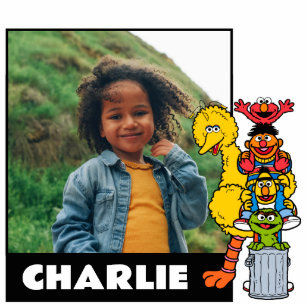 Sesame Street Sesame Street Pals Pose Standing Photo Sculpture