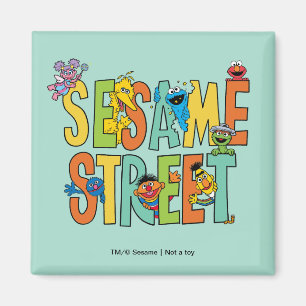 Sesame Street Sesame Street Type Pals Magnet