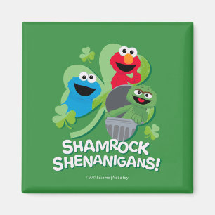 Sesame Street   Shamrock Shenanigans! Magnet