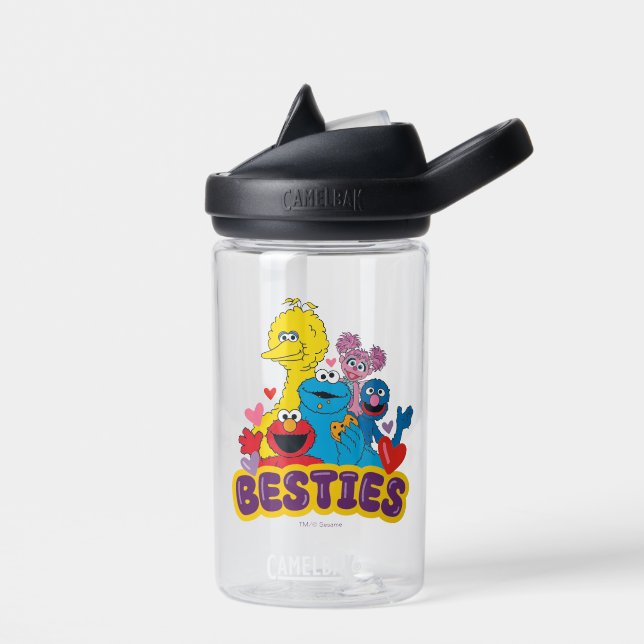 Sesame Street Valentine Besties Water Bottle (Left)