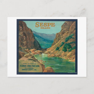 Sespe Orange LabelFillmore, CA Postcard
